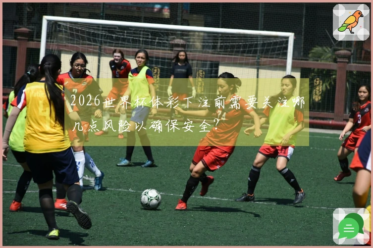 2026世界杯体彩下注前需要关注哪几点风险以确保安全？