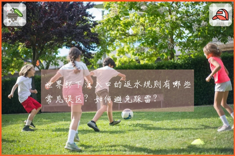世界杯下注入口的返水规则有哪些常见误区？如何避免踩雷？