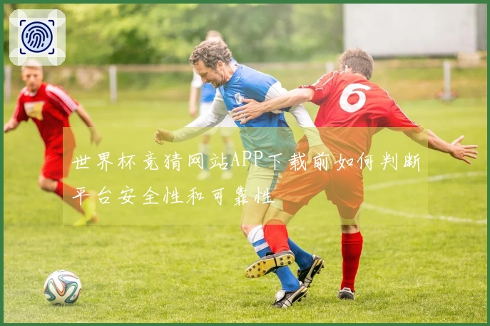 世界杯竞猜网站APP下载前如何判断平台安全性和可靠性