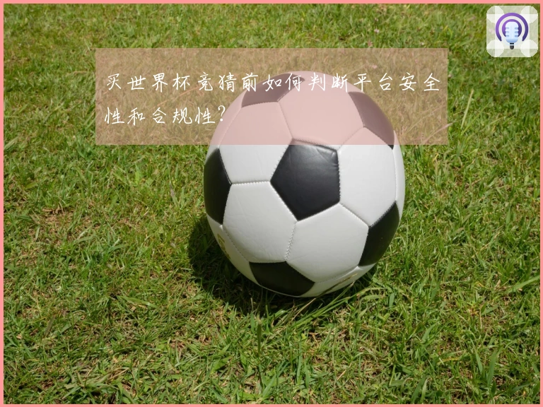 买世界杯竞猜前如何判断平台安全性和合规性？