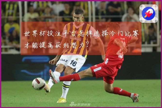世界杯投注平台怎样选择冷门比赛才能提高获利潜力？