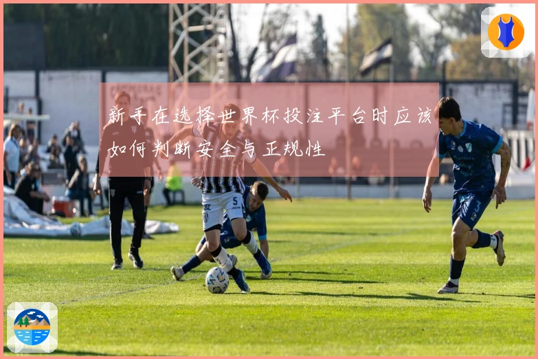 新手在选择世界杯投注平台时应该如何判断安全与正规性