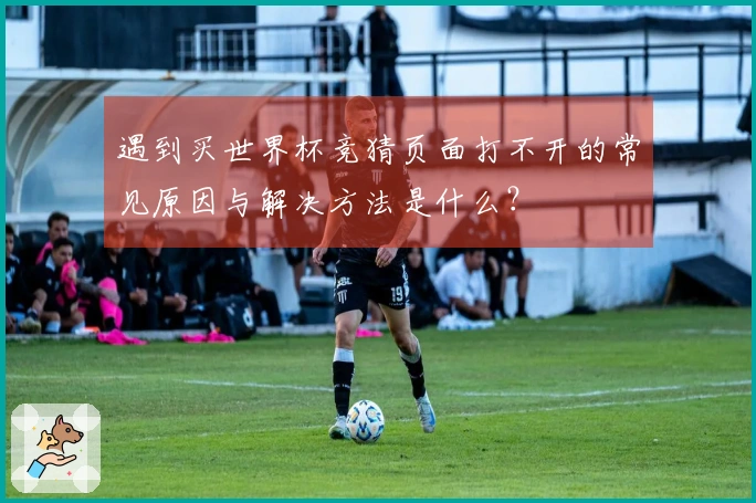遇到买世界杯竞猜页面打不开的常见原因与解决方法是什么？
