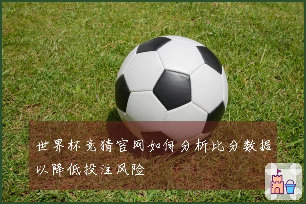 世界杯竞猜官网如何分析比分数据以降低投注风险