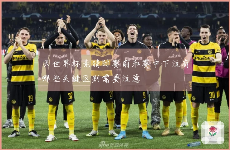 买世界杯竞猜时赛前和赛中下注有哪些关键区别需要注意