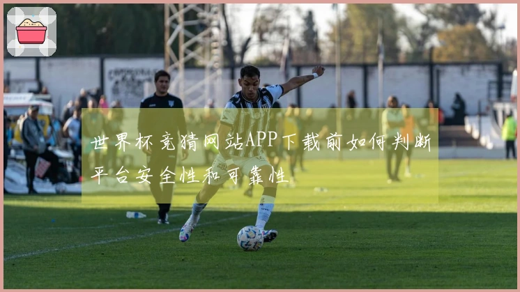 世界杯竞猜网站APP下载前如何判断平台安全性和可靠性