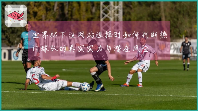 世界杯下注网站选择时如何判断热门球队的真实实力与潜在风险