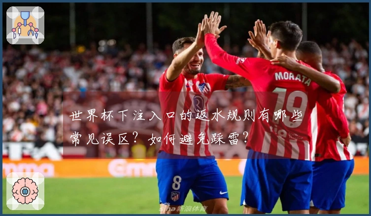 世界杯下注入口的返水规则有哪些常见误区？如何避免踩雷？