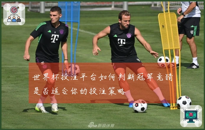 世界杯投注平台如何判断冠军竞猜是否适合你的投注策略