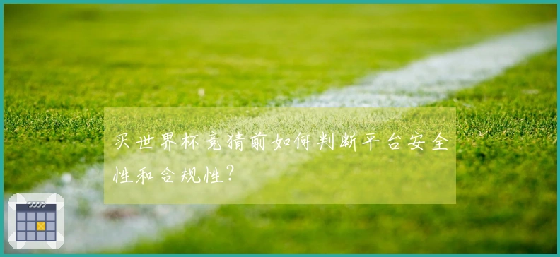 买世界杯竞猜前如何判断平台安全性和合规性？
