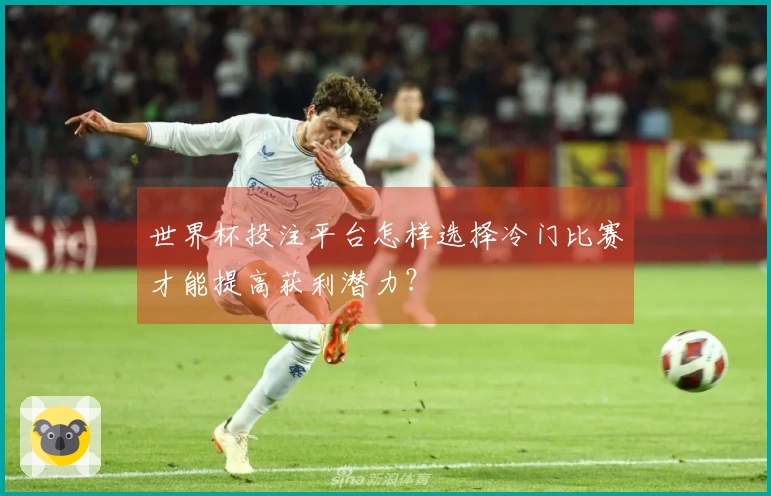 世界杯投注平台怎样选择冷门比赛才能提高获利潜力？