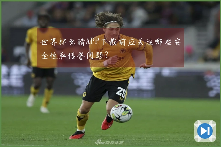 世界杯竞猜APP下载前应关注哪些安全性和信誉问题?