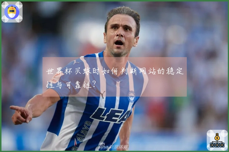 世界杯买球时如何判断网站的稳定性与可靠性？