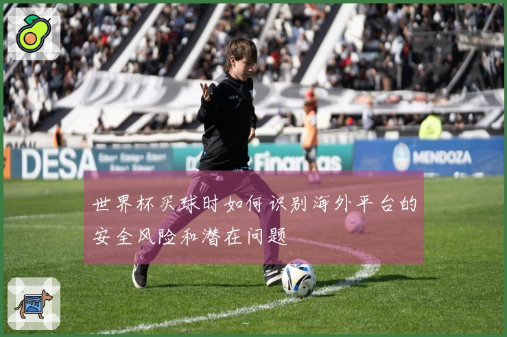 世界杯买球时如何识别海外平台的安全风险和潜在问题