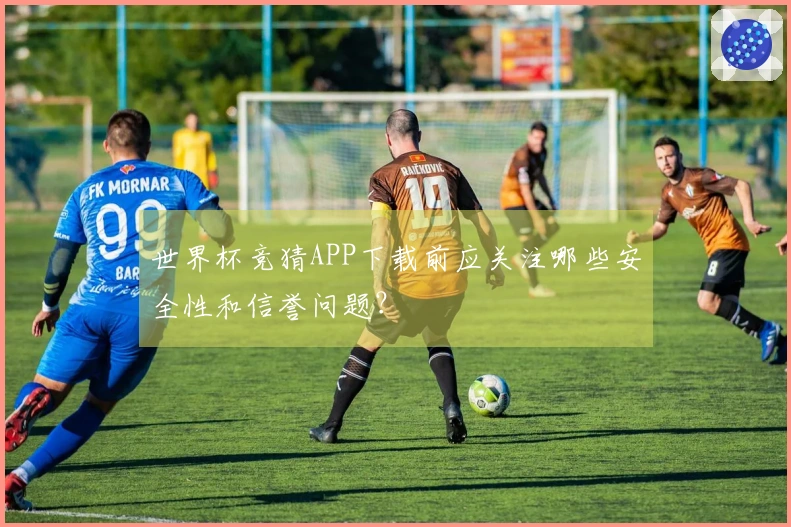 世界杯竞猜APP下载前应关注哪些安全性和信誉问题？
