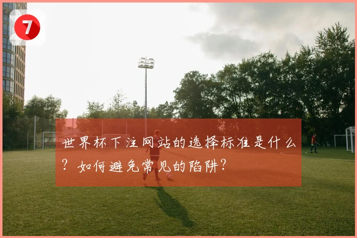 世界杯下注网站的选择标准是什么？如何避免常见的陷阱？