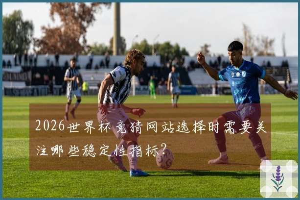 2026世界杯竞猜网站选择时需要关注哪些稳定性指标？