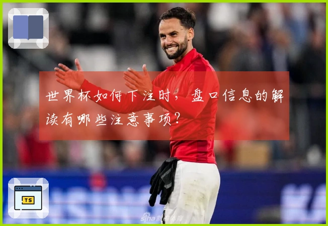 世界杯如何下注时，盘口信息的解读有哪些注意事项？