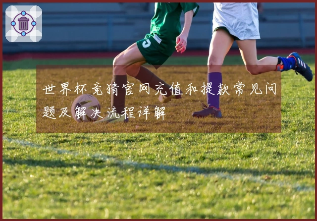 世界杯竞猜官网充值和提款常见问题及解决流程详解