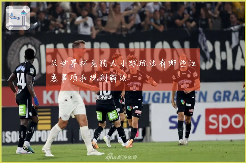 买世界杯竞猜大小球玩法有哪些注意事项和规则解读