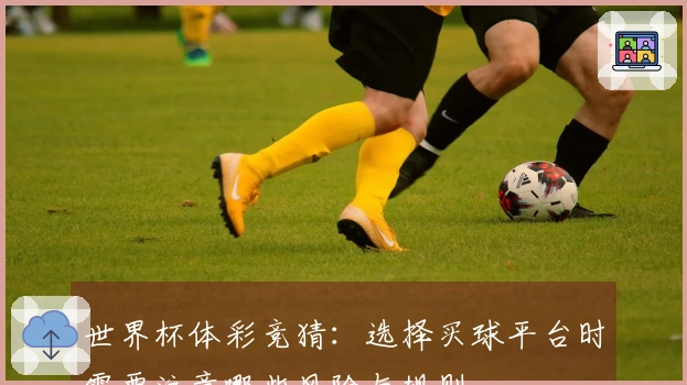 世界杯体彩竞猜：选择买球平台时需要注意哪些风险与规则